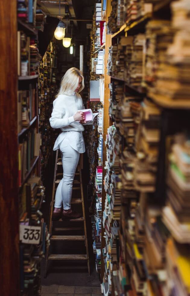 Plataforma Editorial