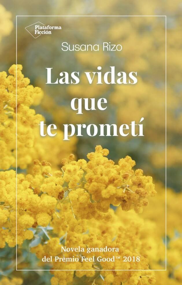 Las vidas que te prometí